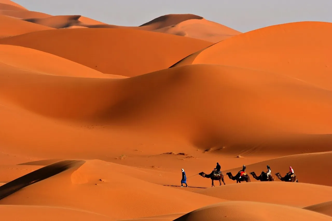 Camel caravan crossing the Erg Chebbi dunes on a Merzouga desert tour