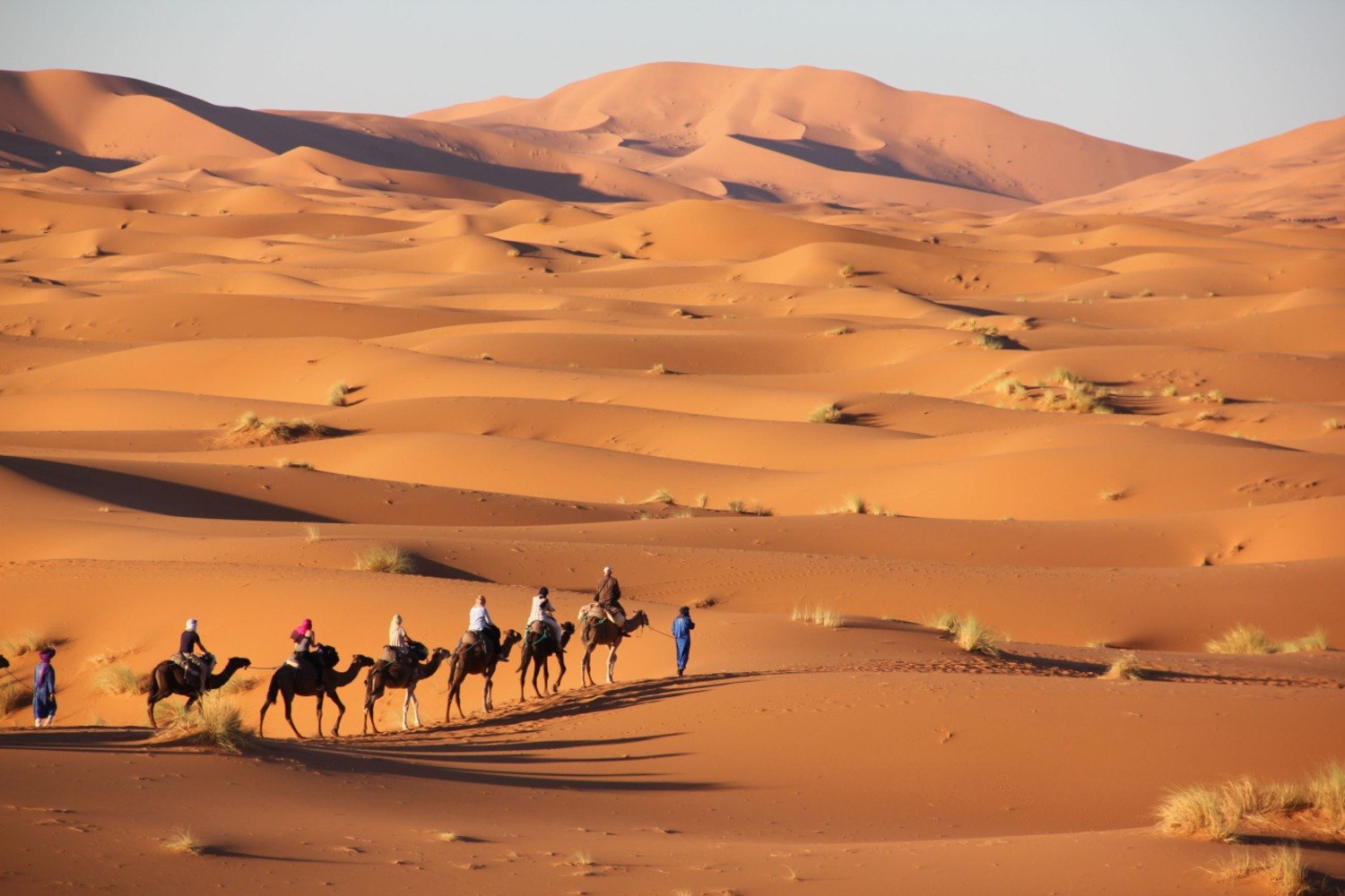Guests crossing the Erg Chebbi dunes on a camel caravan in Merzouga