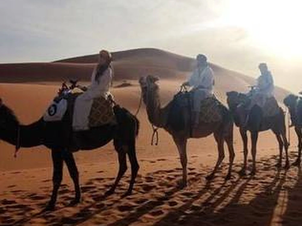 Travelers riding camels in the Erg Chebbi dunes near Merzouga