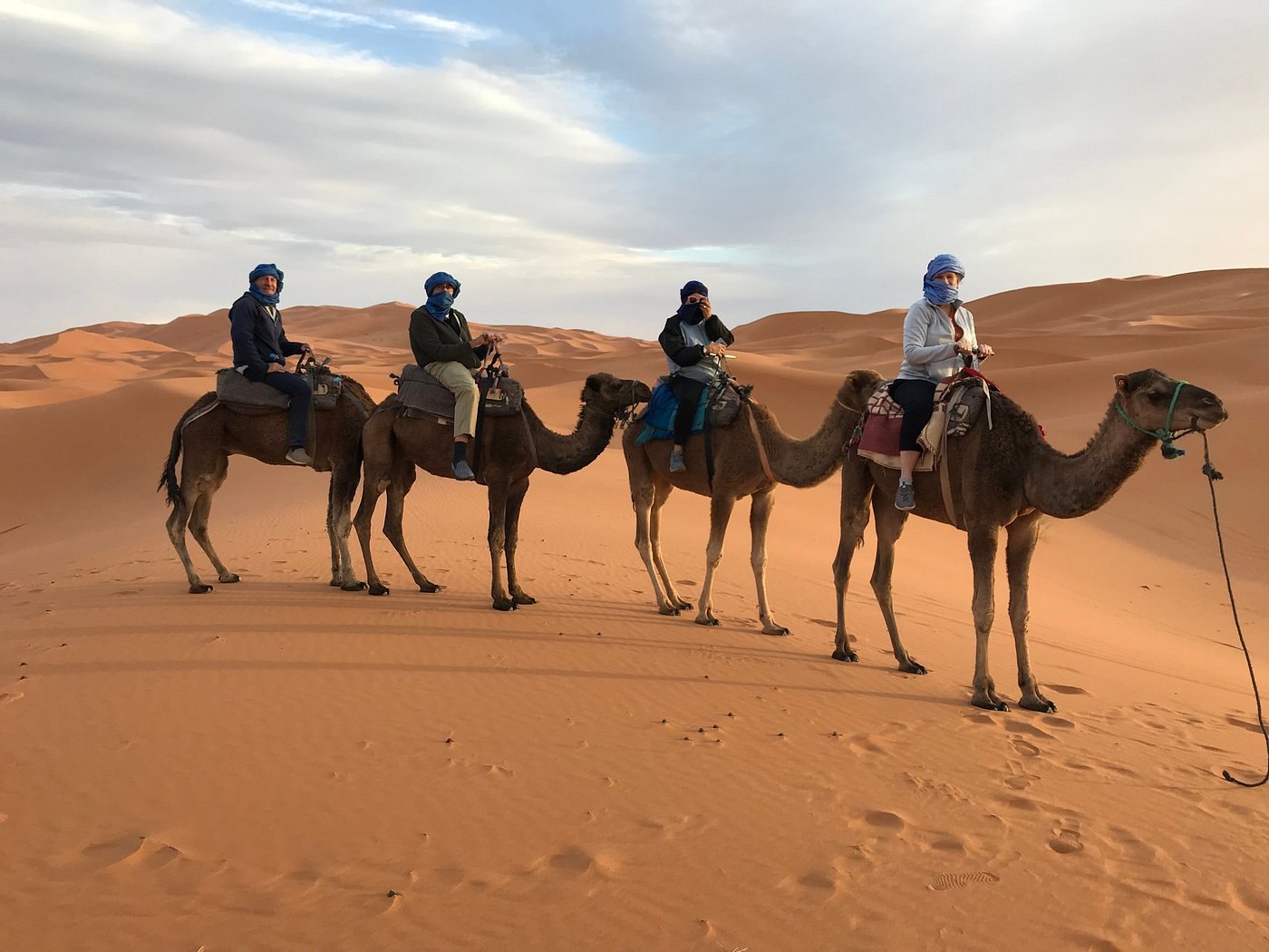 Guests riding camels in the Erg Chebbi dunes at golden hour