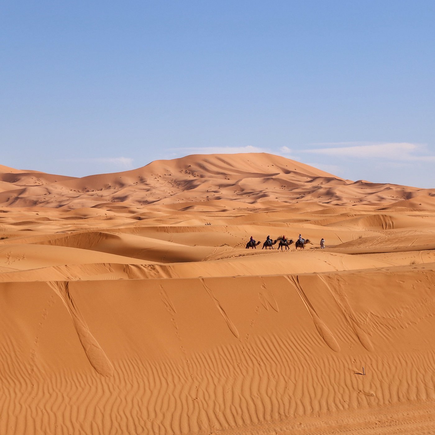 Wide view of the Erg Chebbi dunes with a distant camel caravan